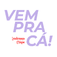 Party Festa Sticker by lembrancachique