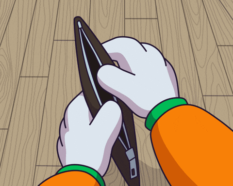 No Money Cat GIF by Toshithecat