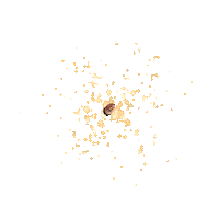 Ikkyu Sticker by Instagram Tag In Virtual GIF Booth
