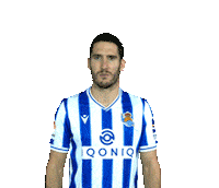 Realsociedad Zaldua Sticker by Real Sociedad de Fútbol