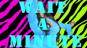 Ts Madison Wait A Minute Bitch GIF