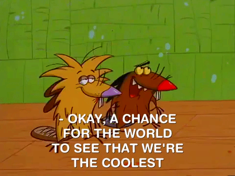 nickrewind giphydvr nicksplat angry beavers giphyab014 GIF