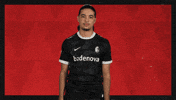 Sc Freiburg What GIF by Bundesliga