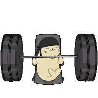 Work Out Fun Sticker by Sappy Seals Community