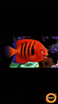 3Danimation GIF