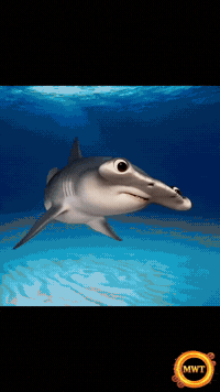 3Danimation GIF
