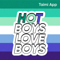 Gay Flag GIF by Taimi