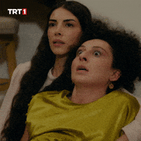 Deniz Baysal Dizi GIF by TRT