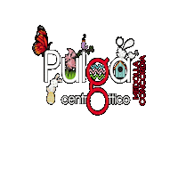 Pulgaottica Sticker by Pulga Centro Ottico