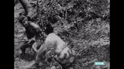 Japan Japanese Cinema GIF by Turner Classic Movies