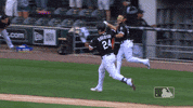 cooler dunks GIF by MLB