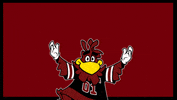 Happy Celebration GIF by University of South Carolina