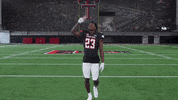 Red Raiders Damarcus Fields GIF by Texas Tech Football