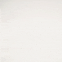 Damarcus Fields GIF by Texas Tech Football