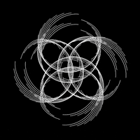 Loop GIF by tracheotommy