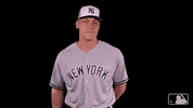aaron judge sport GIF by MLB
