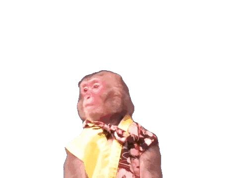 Fun Monkey Sticker