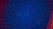 Germany Football GIF by Holstein Kiel