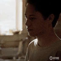 season 8 murders a capital crime GIF by Shameless