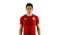 Czech Republic Ceskarepre Sticker by 2score