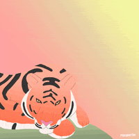 New York Fox GIF by gifnews