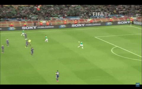 copa del mundo mexico GIF by MiSelecciónMX