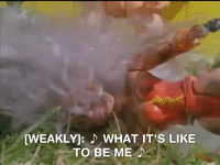 action league now nicksplat GIF