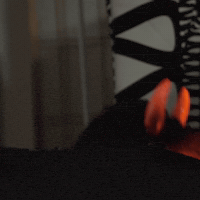 Youtube Surprise GIF by Telfaz11