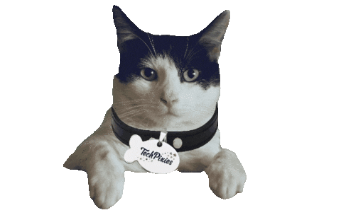 Sticker by TechPixies