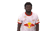 Sekou Koita Silence Sticker by FC Red Bull Salzburg