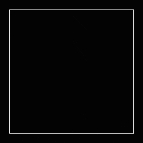 ClassyConfidence giphyupload classyconfidence leaernst GIF