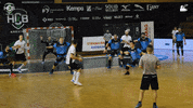 Czech Republic Handball GIF by HCB Karviná