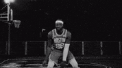 Boston Celtics Sport GIF by NBC Sports Boston
