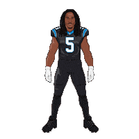 Keep Pounding Carolina Panthers Sticker by SportsManias