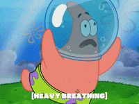 season 5 episode 10 GIF by SpongeBob SquarePants