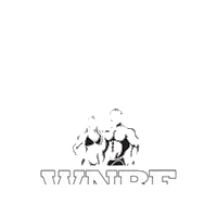 Goals Bodybuilding Sticker by wnbfofficial