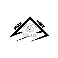 Bodybuilding Peak Sticker by wnbfofficial