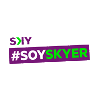 Sky Airline Sticker by Atracción de Talento SKY Airline