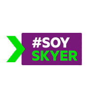 Sky Airline Sticker by Atracción de Talento SKY Airline