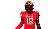 College Football Sticker by Maryland Terrapins