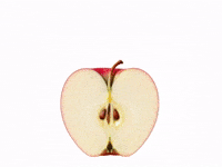 Grow Happy Day GIF by Barbara Pozzi