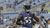 Happy National Football League GIF by Baltimore Ravens
