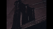 Youtube Film GIF
