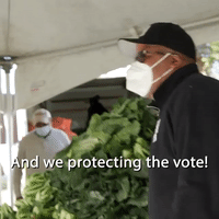 Protecting The Vote