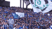 Football Soccer GIF by FC Schalke 04