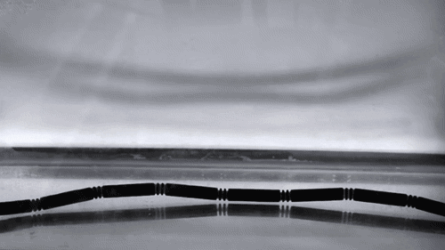 4d printing GIF by TED