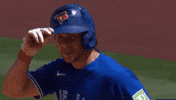Blue Jays Canada GIF by Toronto Blue Jays
