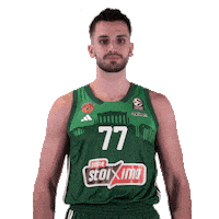 Pao Pana Sticker by Panathinaikos BC AKTOR