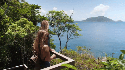 ExperienceCo giphygifmaker tropical adventure time explore GIF