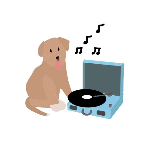 mardygabs giphyupload music sog mardygabs Sticker